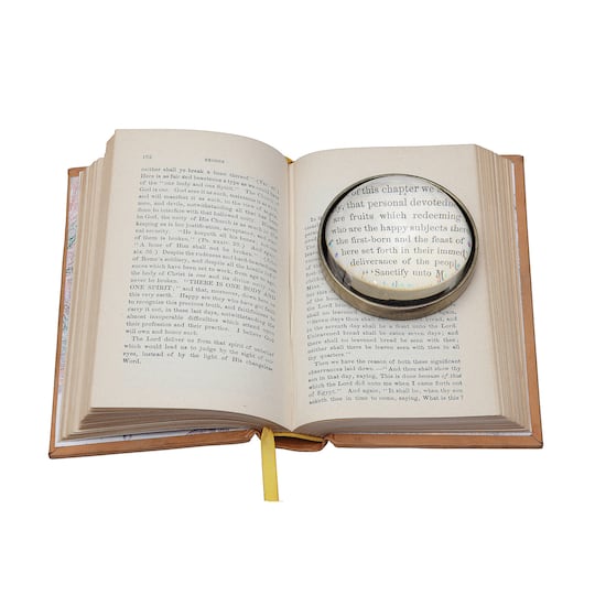 Hello Honey® 3" Round Paperweight Magnifying Glass